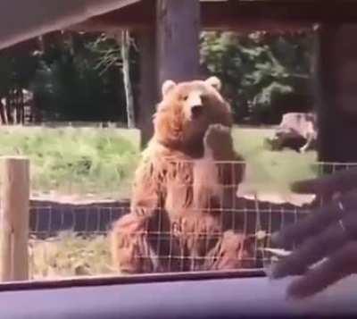 What a catch, what a wave