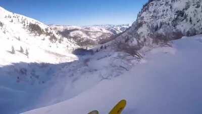 Skier survives fall off 150 foot cliff
