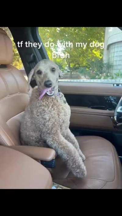 Should’ve gotten a fade