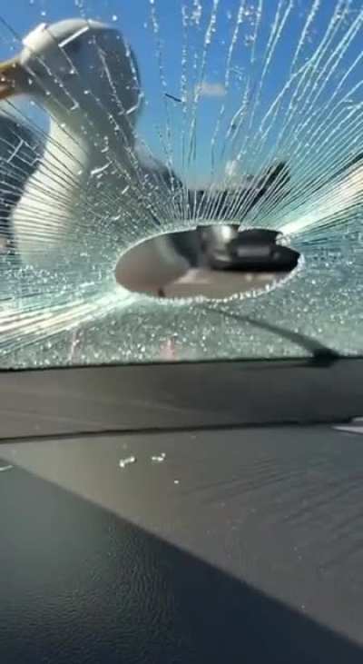 AI made this in 2minutes..