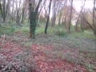 I tried to make a video based on Yabujin's music videos (all footage was recorded by me)