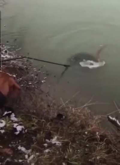 Snap! Bonk! Slip! Splash!