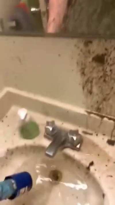 The Sink Sharted