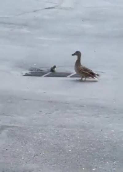 Пацаны,я с вами