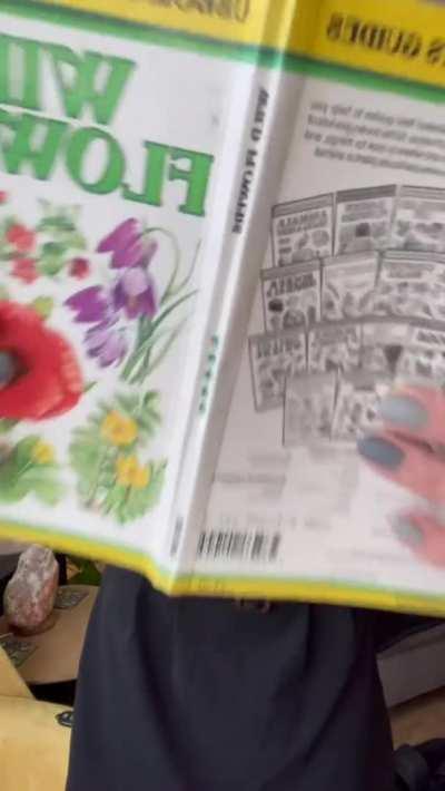 POV I came over to study.. but I want something else too!