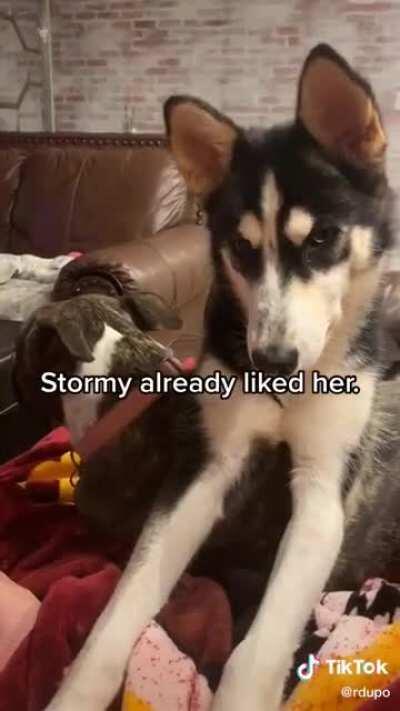 Stormy is the friend you need