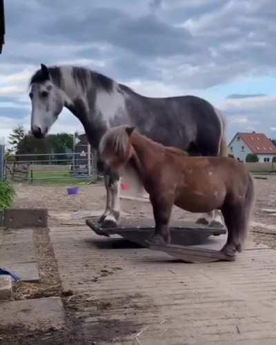 This is what pure joy looks like.