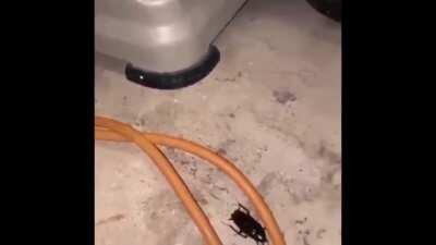 Yeah, don't be shy 🙈👉👈