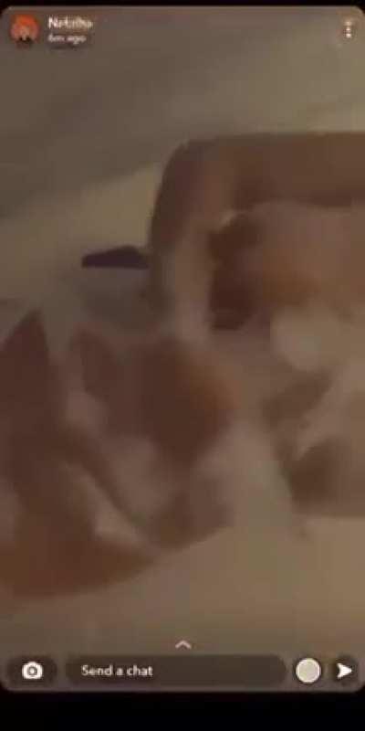 Nabiha cedar warrior bathroom special 😶Somali thot