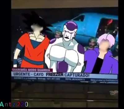 the actual first meme of 2026