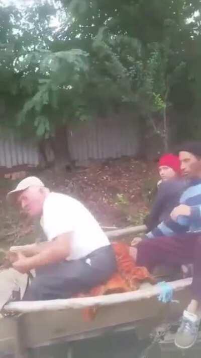 După ce s-a dus pe pulă cariera TV