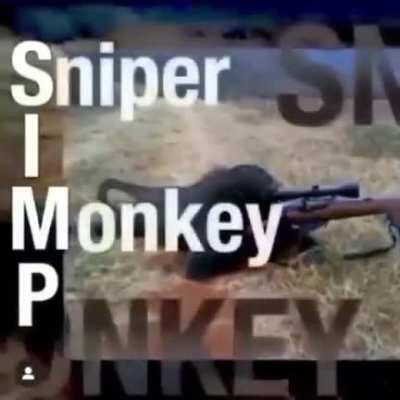 Asies soy un simp (si lees esto recuerda que Ghandi era un soplapollas)