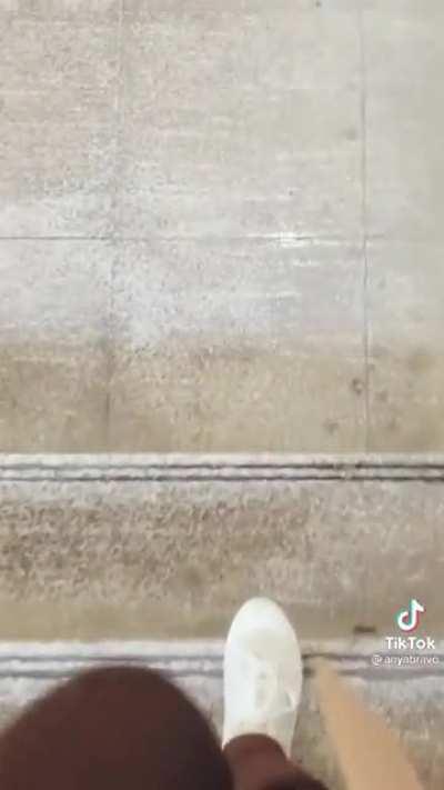 Have you ever been to a sheep cafe?