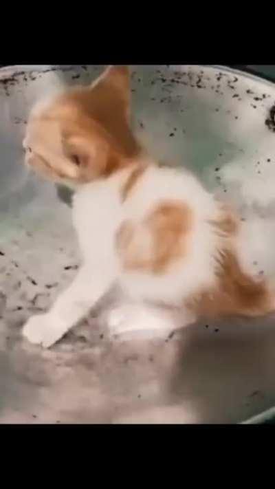 How to adapt C@ to your programming flavor