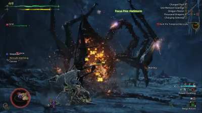 New bow really hits the spot