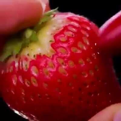 Thanks, I hate food now...