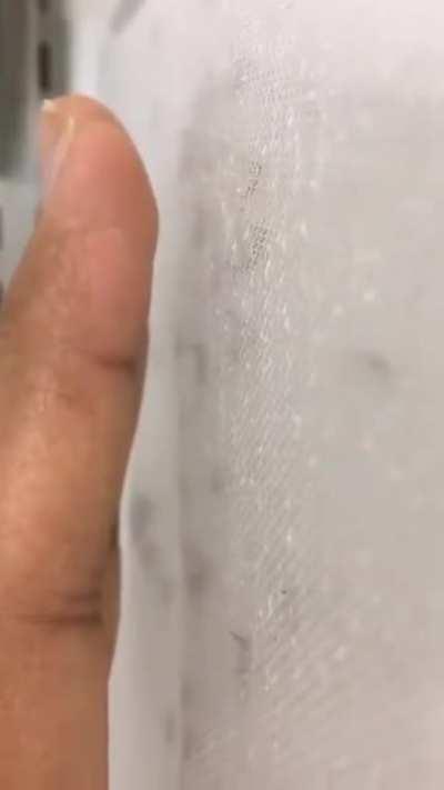 Эти твари-комары Жопу грызли, как бобры. О-о-о-о-о-о-о...