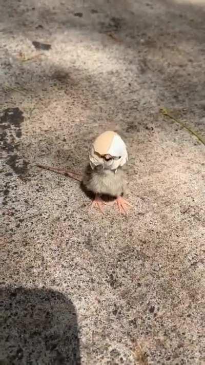 Small act of kindness can go such a long way ❤️