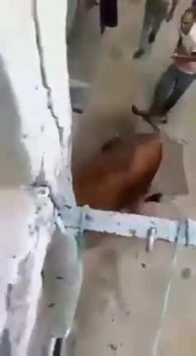 This one sparks joy!!