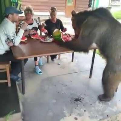 Typical Russian dinner