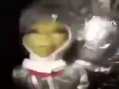 Still my favorite video on the Internet