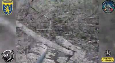 Black Swift unit of the 103rd Territorial Defense Brigade of Ukraine destroy Russian vehicles and personnel, Sumy region