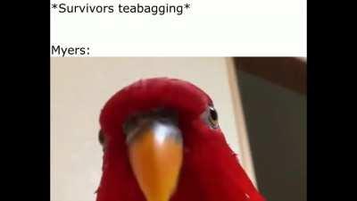 Myers Tier up (Birb Myers)