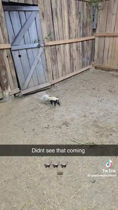 Hey, can I join the party?