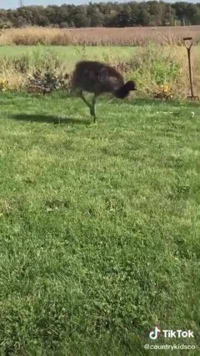 Kevin vs. The water hose