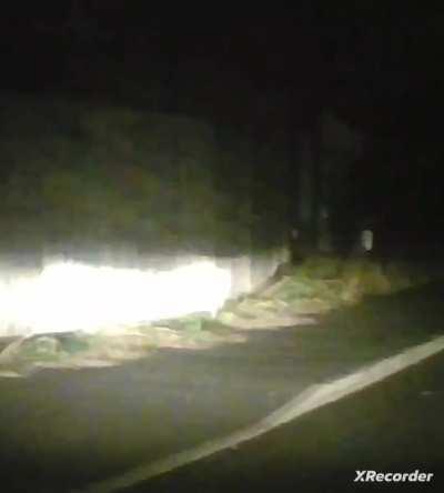 Willingly Got In The Car With A Drink Driver And Didn't So Much As Bother To Buckle Up