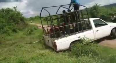 WCGW holding a bull's horn