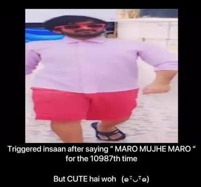 Triggered human is atleast cute….fukra human is neither cute nor funny