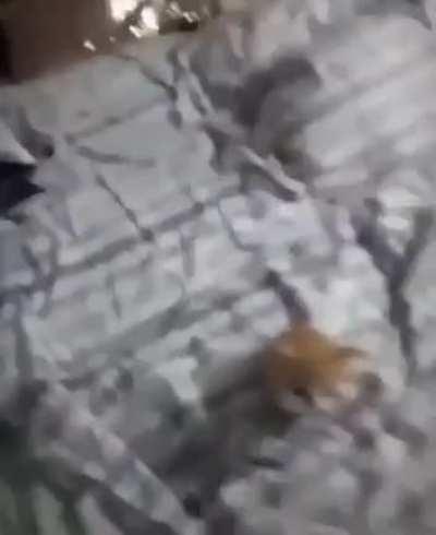 Volví de un baneo de 3 días y aprendí a ocupar las banderas xD