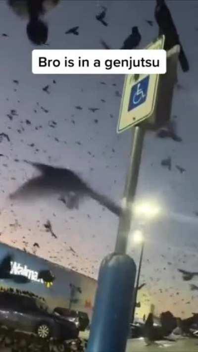 Looks like Itachi had some serious problems with Walmart huh