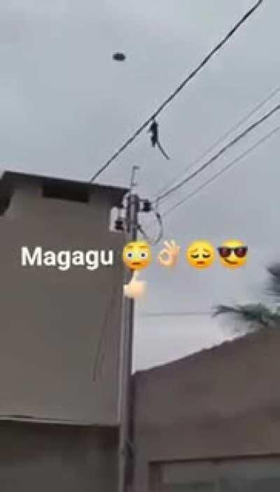 Grito perfeitamente cortado