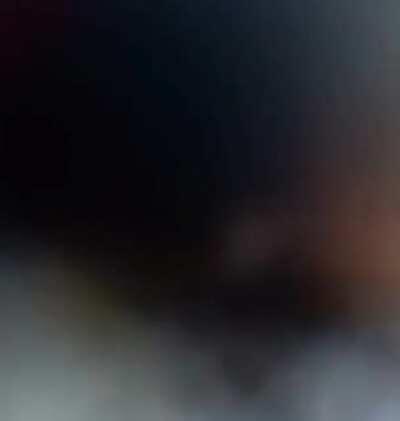 Found a video of this Good boi dying after a boop