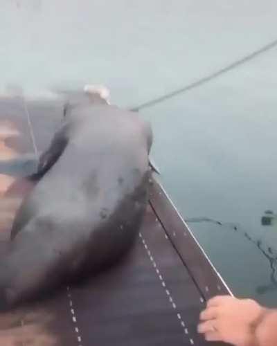 Isso foi tipo acorda um Boss MonkaW