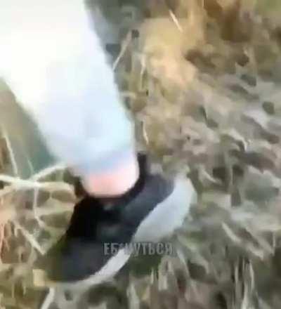 Hope this hasn't already been posted