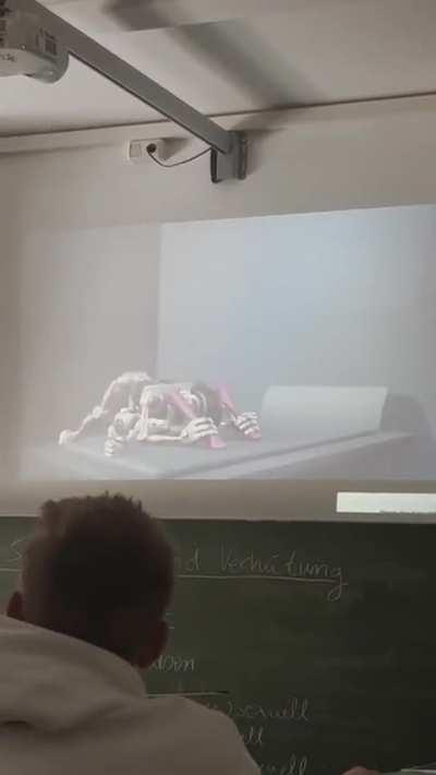 Just a normal school day.