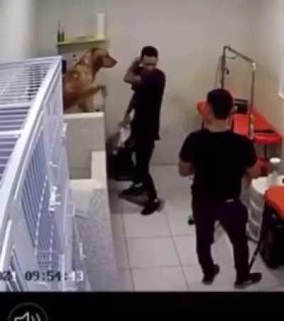 Work with what you love, and you won't have to work anymore.