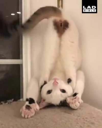 I'm not really sure what message is trying to be sent, here.