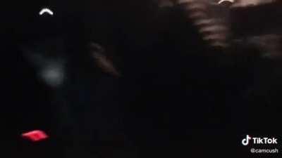 Hitting an innocent spider.