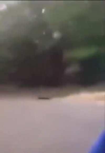 Kid KO’s Stepdad after he hit his mom!