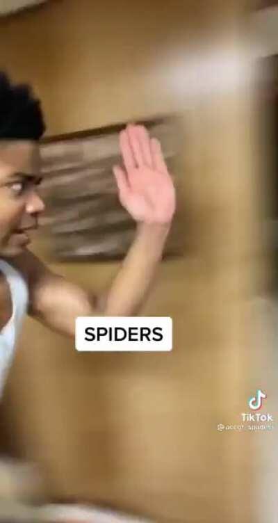 ¿Quien se acuerda de la serie de Minecraft?