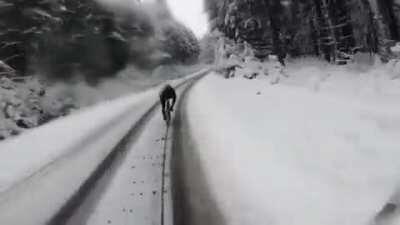 Fun snow ride by Johannes Fischbach.