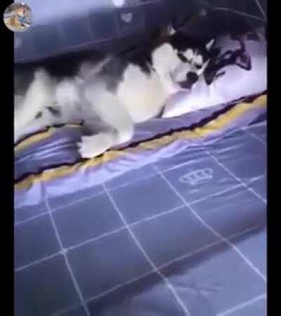 Something for Henry and Jeannie, we'll more for Jeannie