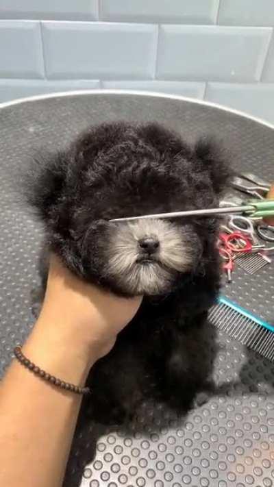 Long hairs hide his face