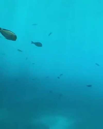 Jules’ Undersea Lodge. The first underwater hotel