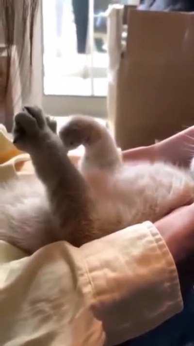 So... this is what heaven feels like.