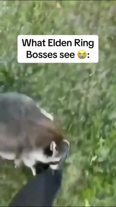 pov boss de souls like